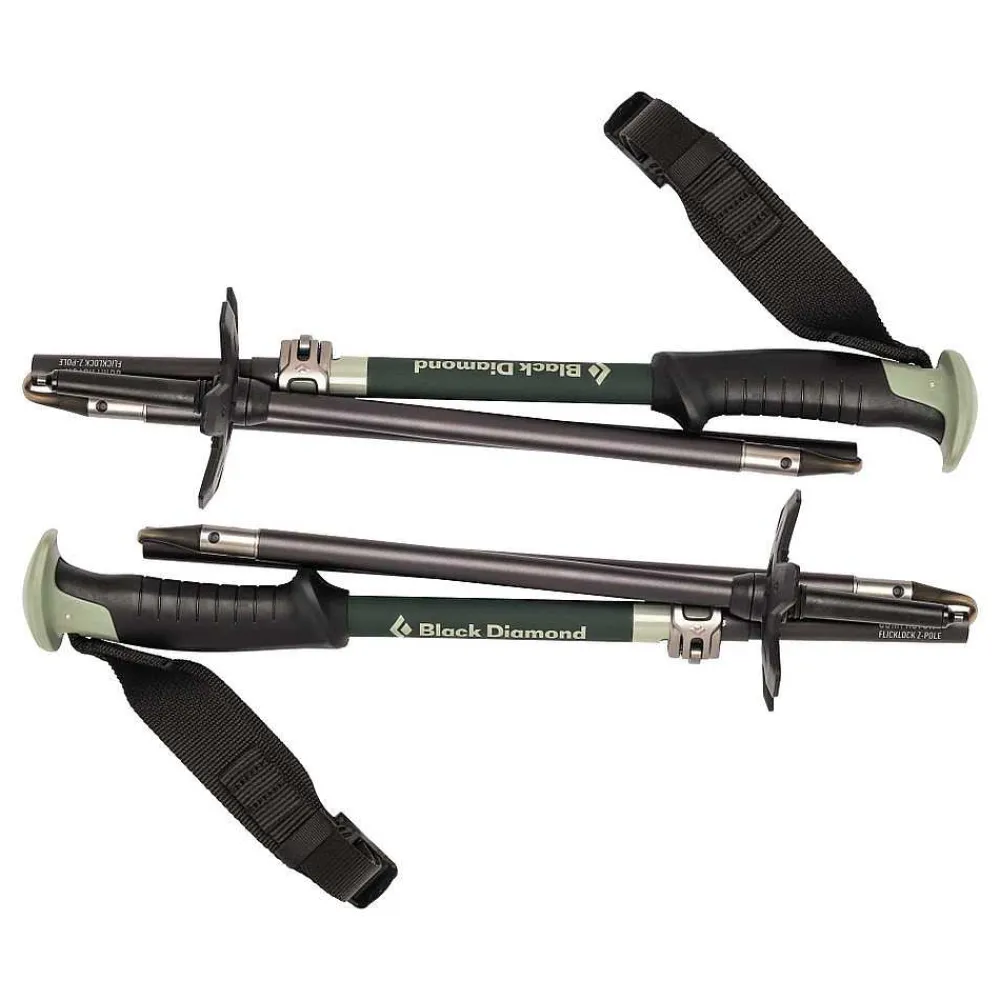 Splitboards>Black Diamond Compactor Ski Poles