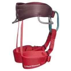 Harnesses>Black Diamond Kid'S Momentum Harness