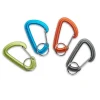 Chalk & Accessories>Black Diamond Micron Accessory Carabiner