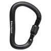 Carabiners>Black Diamond Rocklock Screwgate Carabiner