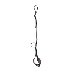 Ice & Alpine>Black Diamond Slider Leash